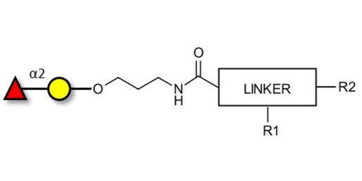 Blood group H antigen disaccharide with customizable dual functionalization 