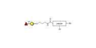 Blood group H antigen...