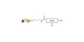 Blood group H antigen disaccharide with customizable dual functionalization 