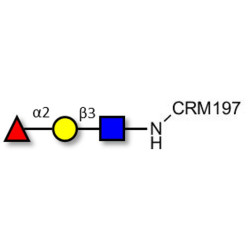 Blood group H antigen triose type 1 grafted on CRM197