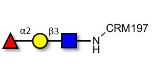Blood group H antigen triose type 1 grafted on CRM197
