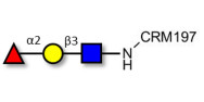 Blood group H antigen...