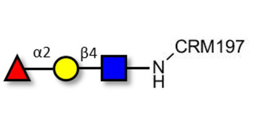 Blood group H antigen triose type 2 grafted on CRM197