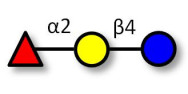 Blood group H antigen...