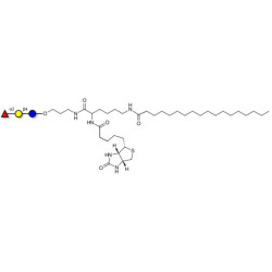 Blood group H antigen triose type 6 / 2’-Fucosyllactose (2'-FL) linked to biotin and stearic chain (Linker-BT-STEA A)