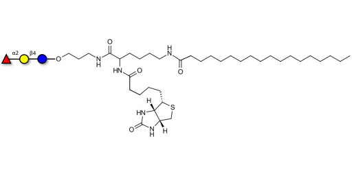 Blood group H antigen triose type 6 / 2’-Fucosyllactose (2'-FL) linked to biotin and stearic chain (Linker-BT-STEA A)
