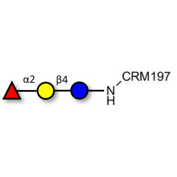 Blood group H antigen triose type 6 / 2’-Fucosyllactose (2'-FL) grafted on CRM197