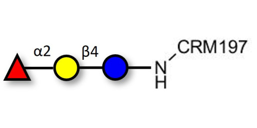 Blood group H antigen triose type 6 / 2’-Fucosyllactose (2'-FL) grafted on CRM197