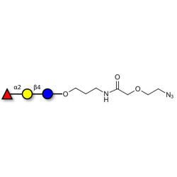Blood group H antigen triose type 6 / 2’-Fucosyllactose (2'-FL) with terminal azide (Linker-N3 B)