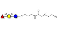 Blood group H antigen...