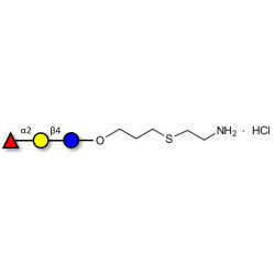 Blood group H antigen triose type 6 / 2’-Fucosyllactose (2'-FL) with free terminal amine (Linker-NH2 E)