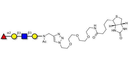 Blood group H antigen tetraose type 1 linked to biotin (Linker-BT A) - Blood group H tetrasaccharide type I ; 