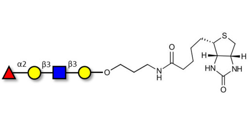 Blood group H antigen tetraose type 1 linked to biotin (Linker-BT B) - Blood group H tetrasaccharide type I ; 