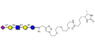 LS-Tetrasaccharide d (LSTd)...