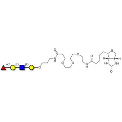 Blood group H antigen tetraose type 1 linked to biotin (Linker-BT C)