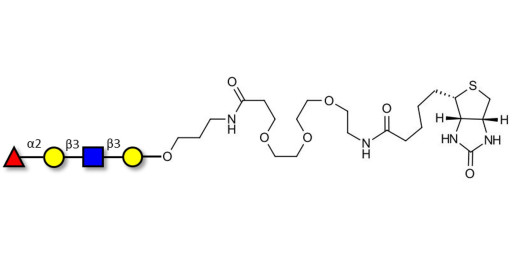 Blood group H antigen tetraose type 1 linked to biotin (Linker-BT C) - Blood group H tetrasaccharide type I ; 