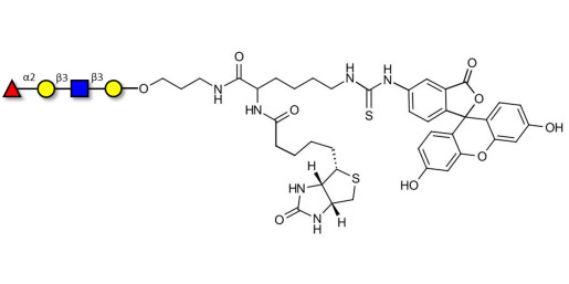 Blood group H antigen tetraose type 1 linked to biotin and fluorescein (Linker-BT-FLUO A) - Blood group H tetrasaccharide type I ; 