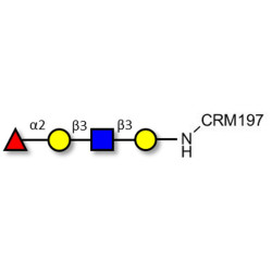 Blood group H antigen tetraose type 1 grafted on CRM197