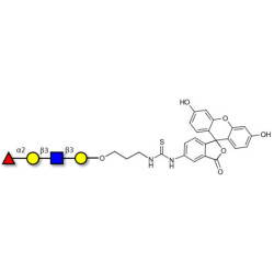 Blood group H antigen tetraose type 1 linked to fluorescein (Linker-FLUO A)
