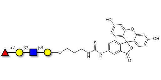 Blood group H antigen tetraose type 1 linked to fluorescein (Linker-FLUO A) - Blood group H tetrasaccharide type I ; 