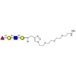 Blood group H antigen tetraose type 1 grafted on gel for affinity chromatography (Linker-GEL A)
