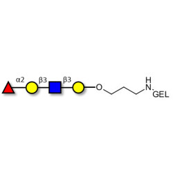 Blood group H antigen tetraose type 1 grafted on gel for affinity chromatography (Linker-GEL B)