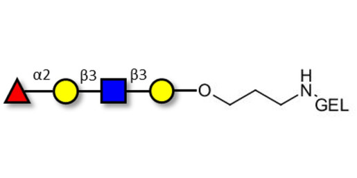 Blood group H antigen tetraose type 1 grafted on gel for affinity chromatography (Linker-GEL B) - Blood group H tetrasaccharide type I ; 