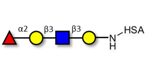 Blood group H antigen tetraose type 1 grafted on HSA - Blood group H tetrasaccharide type I ; 