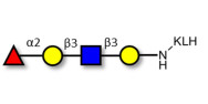 Blood group H antigen...
