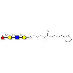 Blood group H antigen tetraose type 1 with cyclic di-thiol (Linker-LIPO A)