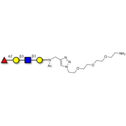 Blood group H antigen tetraose type 1 with free terminal amine (Linker-NH2 B)