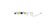 Blood group H antigen...
