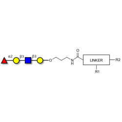 Blood group H antigen tetraose type 1 with customizable dual functionalization 