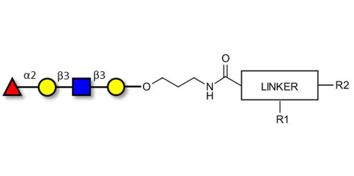 Blood group H antigen tetraose type 1 with customizable dual functionalization  - Blood group H tetrasaccharide type I ; 
