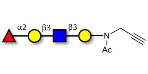Blood group H antigen tetraose type 1 with terminal alkyne (Linker-CΞCH A) - Blood group H tetrasaccharide type I ; 