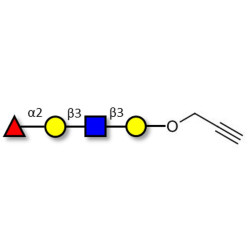 Blood group H antigen tetraose type 1 with terminal alkyne (Linker-CΞCH B)