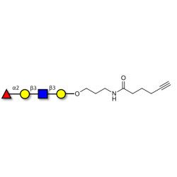 Blood group H antigen tetraose type 1 with terminal alkyne (Linker-CΞCH C)