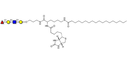 Blood group H antigen tetraose type 2 linked to biotin and stearic chain (Linker-BT-STEA A)