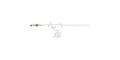 Blood group H antigen tetraose type 2 linked to biotin and stearic chain (Linker-BT-STEA A)