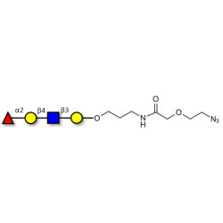 Blood group H antigen tetraose type 2 with terminal azide (Linker-N3 B)