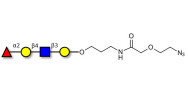 Blood group H antigen...