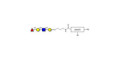 Blood group H antigen tetraose type 2 with customizable dual functionalization 
