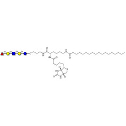 Lacto-N-fucopentaose I (LNFP I) / Blood group H antigen pentaose type 1 linked to biotin and stearic chain (Linker-BT-STEA A)