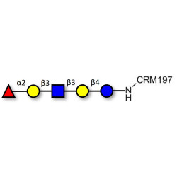 Lacto-N-fucopentaose I (LNFP I) / Blood group H antigen pentaose type 1 grafted on CRM197