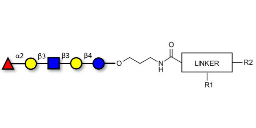 Lacto-N-fucopentaose I (LNFP I) / Blood group H antigen pentaose type 1 with customizable dual functionalization 
