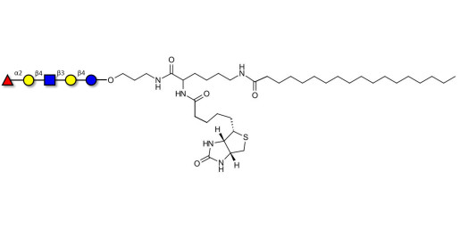 Blood group H antigen pentaose type 2 / Lacto-N-neofucopentaose I (LnNFP I) linked to biotin and stearic chain (Linker-BT-STEA A)