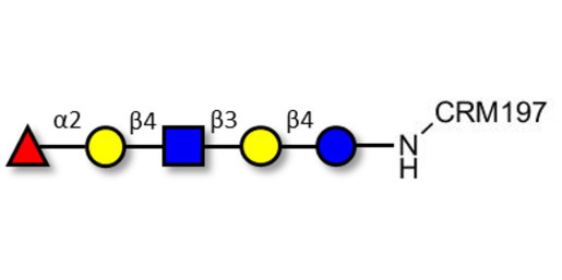 Blood group H antigen pentaose type 2 / Lacto-N-neofucopentaose I (LnNFP I) grafted on CRM197