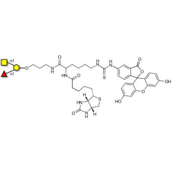 Blood group A antigen triose linked to biotin and fluorescein (Linker-BT-FLUO A)