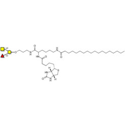 Blood group A antigen triose linked to biotin and stearic chain (Linker-BT-STEA A)