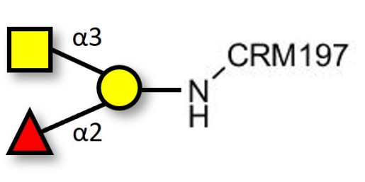 Blood group A antigen triose grafted on CRM197